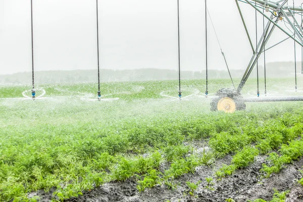 Agriculture irrigation machine — Stock Photo, Image