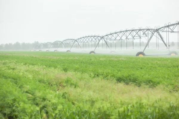 Blurred green field landscape — Stock Photo, Image