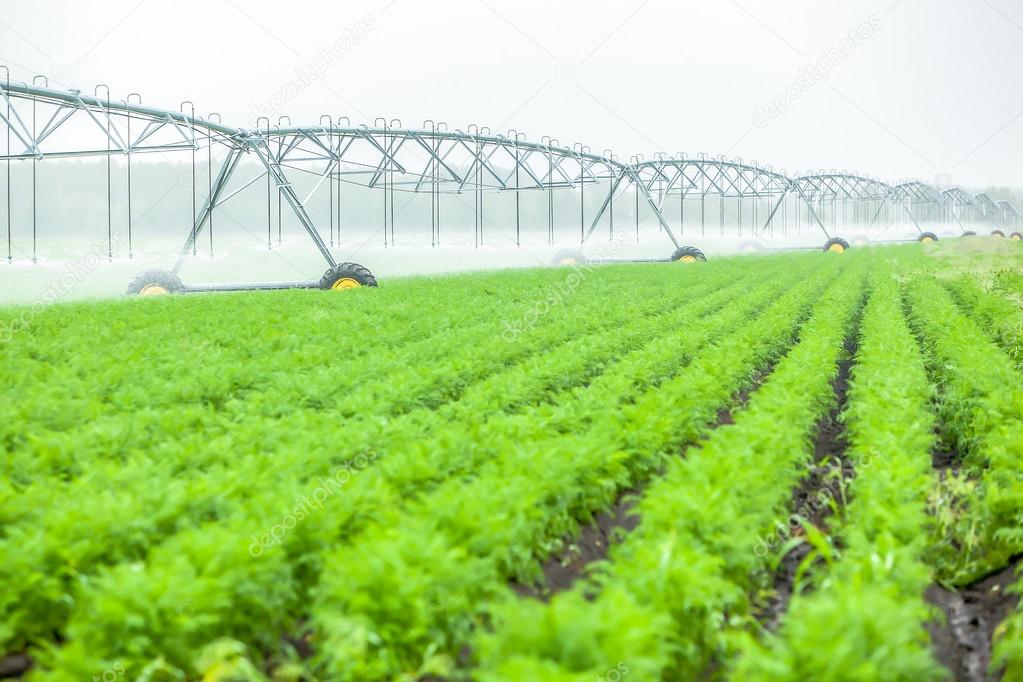 Blurred green field landscape