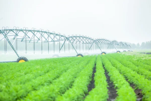 Agricultura máquina de riego — Foto de Stock