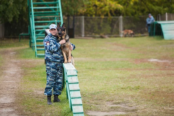 Omsk, Federacja Rosyjska - 22 sierpnia 2014: Psi centrum szkolenia — Zdjęcie stockowe