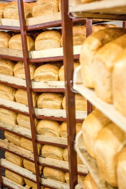 Taze pişmiş ekmek Fabrikası'nda raflar dolu