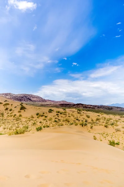 Arbustos na areia deserto wih montanhas no fundo — Fotografia de Stock