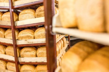 Taze pişmiş ekmek yığılmış ve paketleme fabrikası'nda için hazır