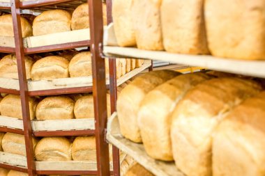 Taze pişmiş ekmek Fabrikası'nda raflar dolu