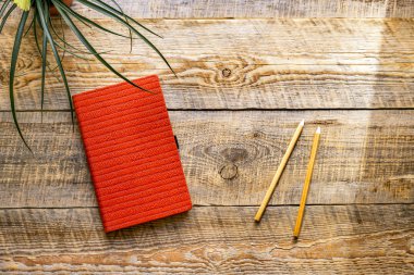 Turuncu defter ile ahşap masa üzerinde yeşil çiçek