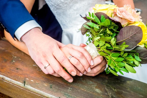 La novia y el novio se cogen de la mano — Foto de Stock