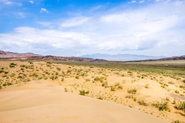 Sand dune with bushes on a background of mountains — Stock Photo, Image