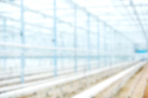 Blurred background interior of an empty industrial greenhouse — Stock Photo, Image