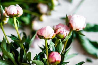 Atölye peonies buket