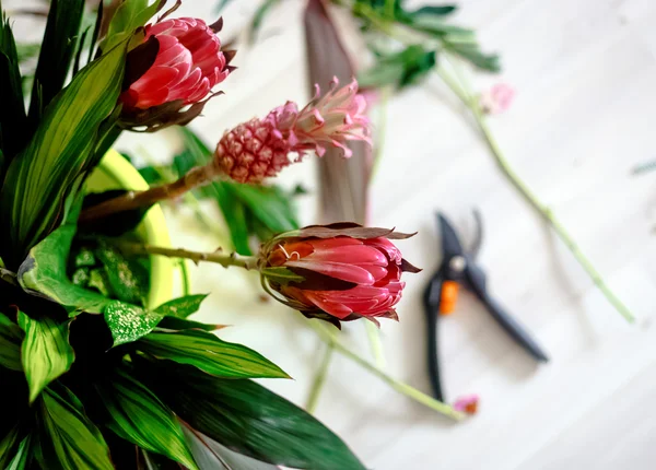 Flores rojas en taller — Foto de Stock