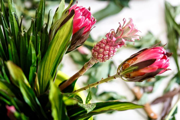 Flores rojas en taller — Foto de Stock