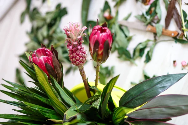 Ramo de flores en un cubo — Foto de Stock