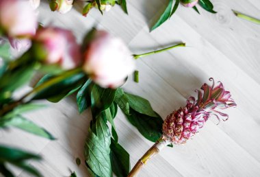 Atölye peonies buket