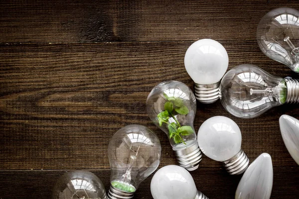 Yeşil çimenli ampul - yenilenebilir enerji ekosu kavramı