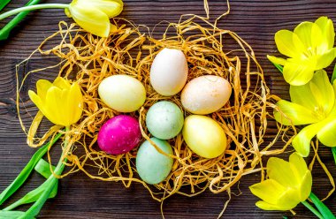 Yuva manzaralı Paskalya yumurtaları. Yakın plan.