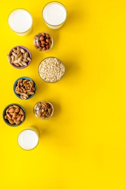 Sütsüz protein sütü - fındık ve inlemelerle iç