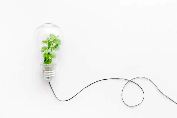 Yeşil enerji ekosu kavramı. Ampulde çimen var. Üst görünüm.