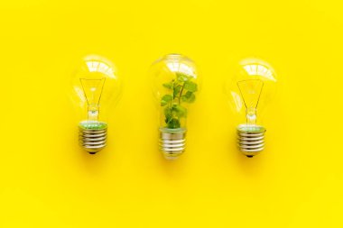 Yeşil çimenli ampul - yenilenebilir enerji ekosu kavramı