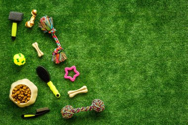 Köpekler için evcil hayvan oyuncakları ve aksesuarlar, genel görünüm