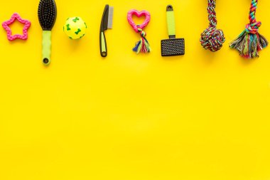 Köpek ve kedi için aksesuarlı hayvan bakımı. Oyuncaklar ve kuru gıda manzarası