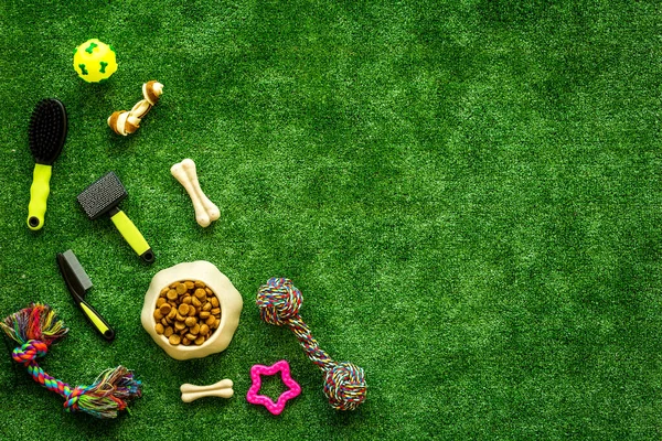 Pet supplies on backyard grass, toys and food for cats and dogs, top view