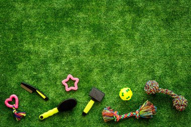 Arka bahçedeki çimlerde hayvan malzemeleri, oyuncaklar ve kediler ve köpekler için yiyecek, üst manzara.