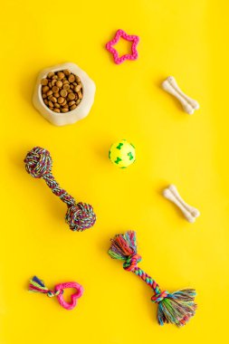 Köpekler ve kediler için oyuncaklar, kuru yiyecek ve aksesuarlar, üst manzara