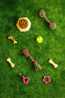 Kedi ve köpek için ev hayvanı oyuncakları ve aksesuarlarla yatıyordu.