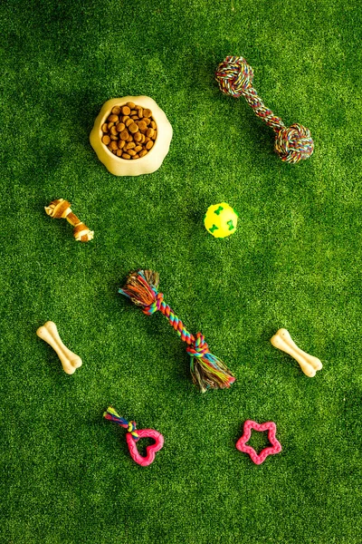 Kedi ve köpek için ev hayvanı oyuncakları ve aksesuarlarla yatıyordu.