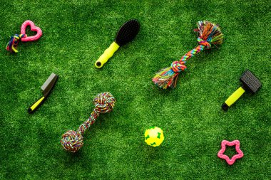 Arka bahçedeki çimlerde hayvan malzemeleri, oyuncaklar ve kediler ve köpekler için yiyecek, üst manzara.