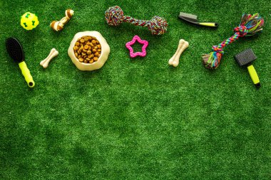 Arka bahçedeki çimlerde hayvan malzemeleri, oyuncaklar ve kediler ve köpekler için yiyecek, üst manzara.