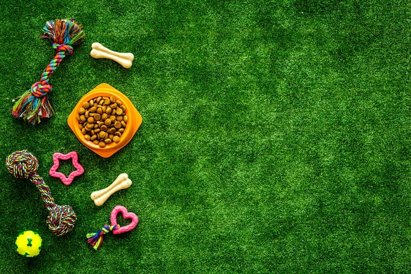 宠物用品：后院里的草、玩具和猫狗的食物，俯瞰 — 图库照片
