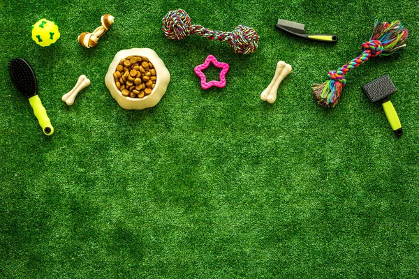 Pet supplies on backyard grass, toys and food for cats and dogs, top view
