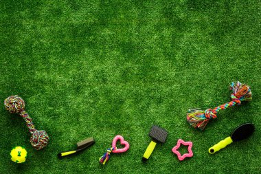 Köpek ve kedi için aksesuarlı hayvan bakımı. Oyuncaklar ve kuru gıda manzarası