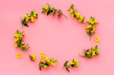 Vahşi bahar çiçekleri üst manzara. Metin için alanı olan çiçek çerçevesi