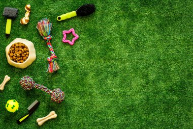 Arka bahçedeki çimlerde hayvan malzemeleri, oyuncaklar ve kediler ve köpekler için yiyecek, üst manzara.