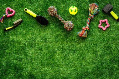 Arka bahçedeki çimlerde hayvan malzemeleri, oyuncaklar ve kediler ve köpekler için yiyecek, üst manzara.