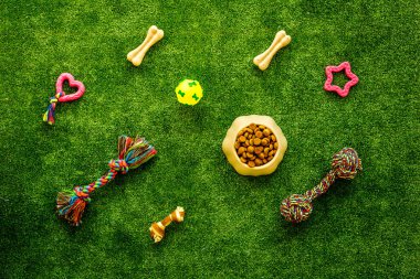 Arka bahçedeki çimlerde hayvan malzemeleri, oyuncaklar ve kediler ve köpekler için yiyecek, üst manzara.