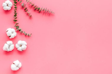 Çiçekler, yeşil okaliptüs dalları ve pembe arkaplan görünümlü kuru pamuk çiçekleriyle metin için sınırdır