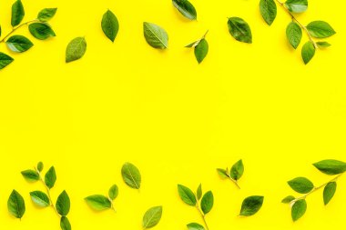 Yeşil yaprak desenli. Üst görünümde dalları bırakır