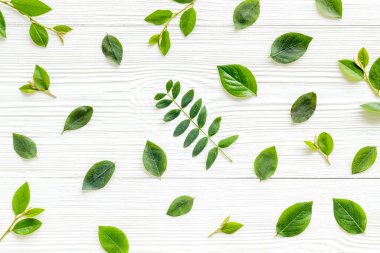 Yeşil yaprak dalları üst görüntüde. Çiçek desenli arka plan