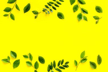 Yeşil yaprak desenli. Üst görünümde dalları bırakır