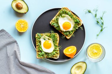 Avokado ıspanak kremalı ve yumurtalı sandviç. Üst görünüm