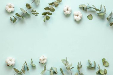 Okaliptüs yaprakları ve dallar düz yatıyordu.