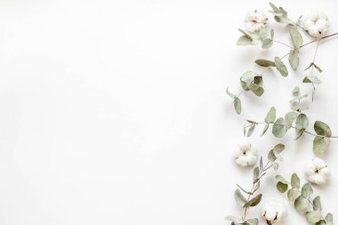 Okaliptüs yaprakları ve pamuklu çiçek deseni