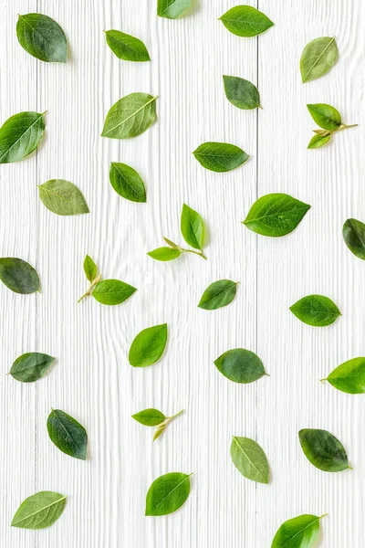 Çiçek desenli yeşil yaprak ve dallar. Üst görünüm