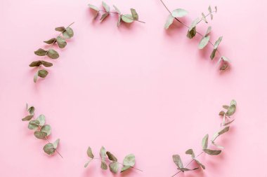 Okaliptüs yaprakları ve dallar düz yatıyordu.