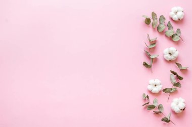 Okaliptüs dalları ve pamuk çiçekleriyle çiçek deseni