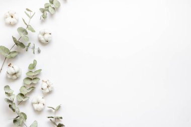 Okaliptüs dalları ve pamuk çiçekleriyle çiçek deseni